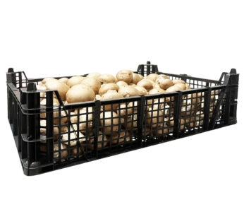 Champingnon (Braun) 3kg