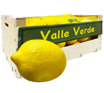 Zitrone 6kg