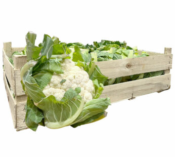 Blumenkohl Kiste