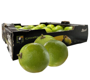 Limetten 4.5kg