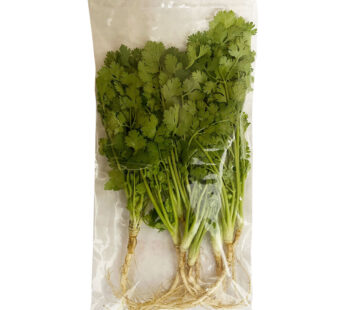 Koriander (Thai) 100g
